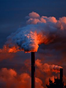Inquinamento e danno ambientale: come tutelarsi
